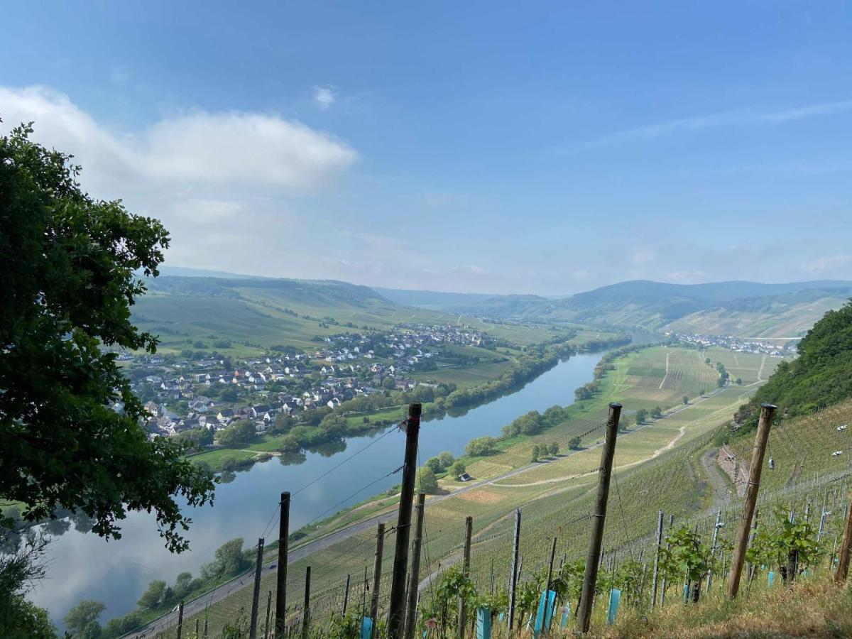 Neu!!! Moselbleibe Winzerhaus Kues Daire Bernkastel-Kues Dış mekan fotoğraf
